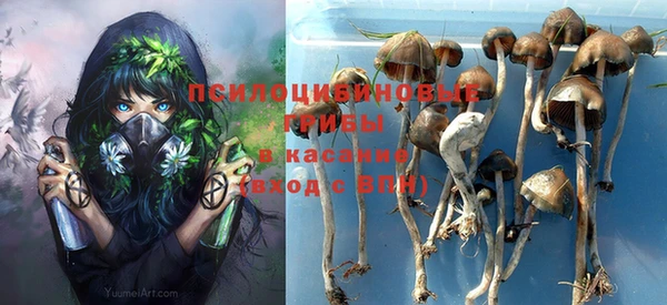 трава Алексин